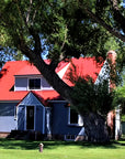 Sterling Ranch House